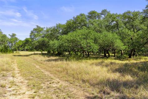 1655 N Walnut Springs Road Johnson City TX 78636