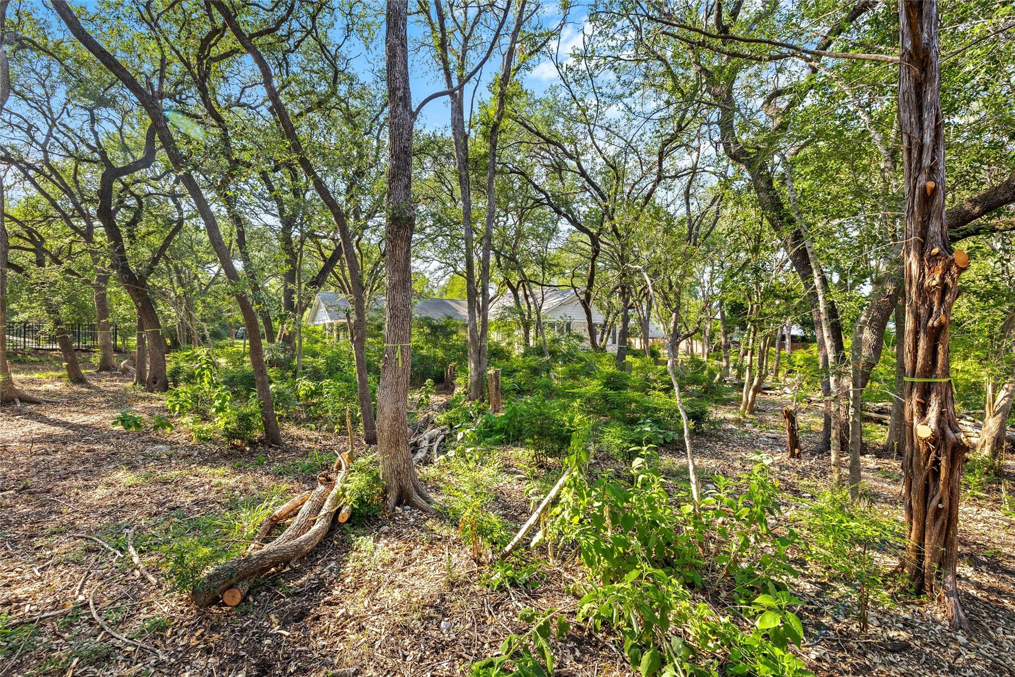 4101 Spicewood Springs Road Austin TX 78759