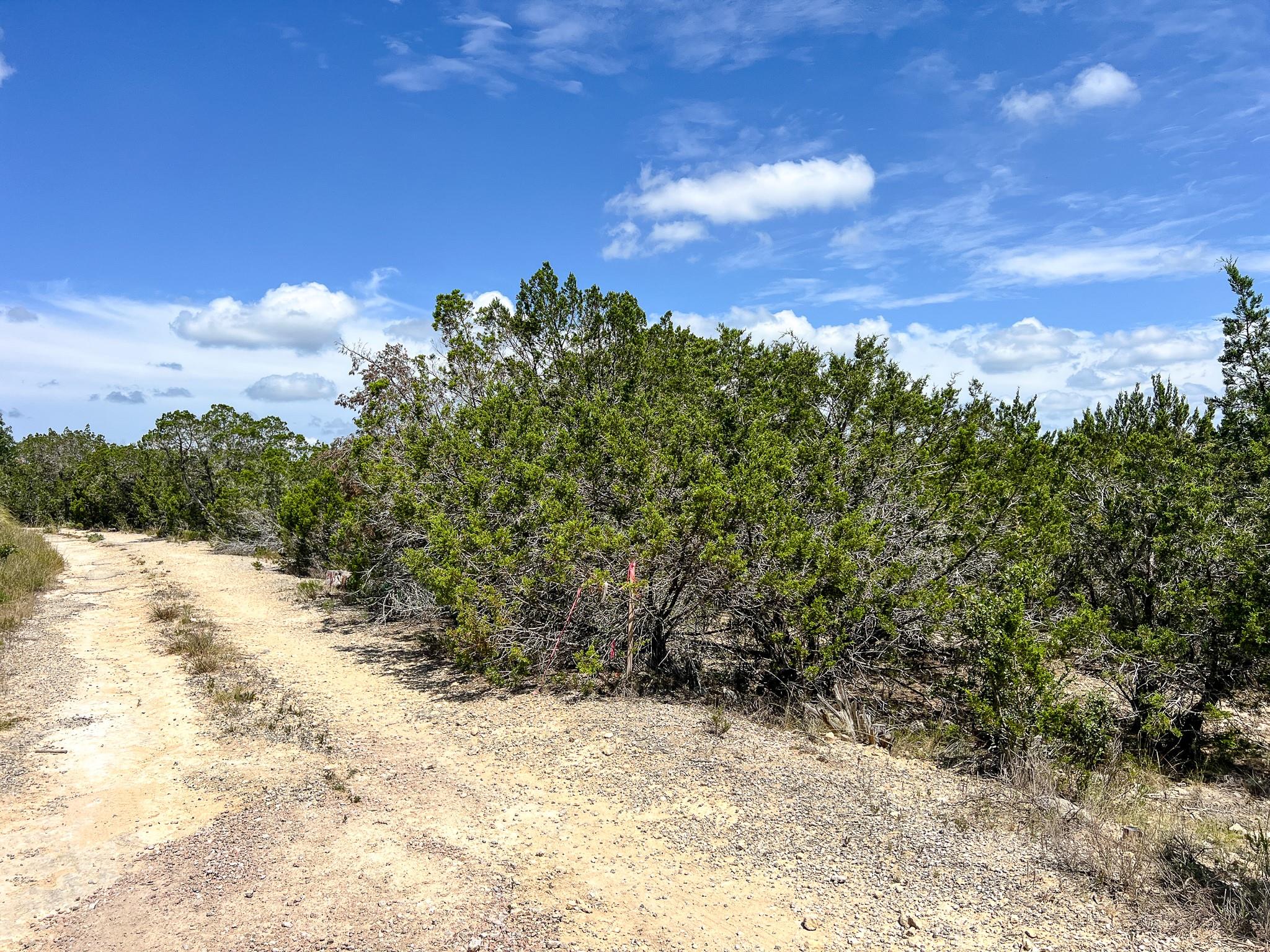 19504 Fisher Lane Austin TX 78738