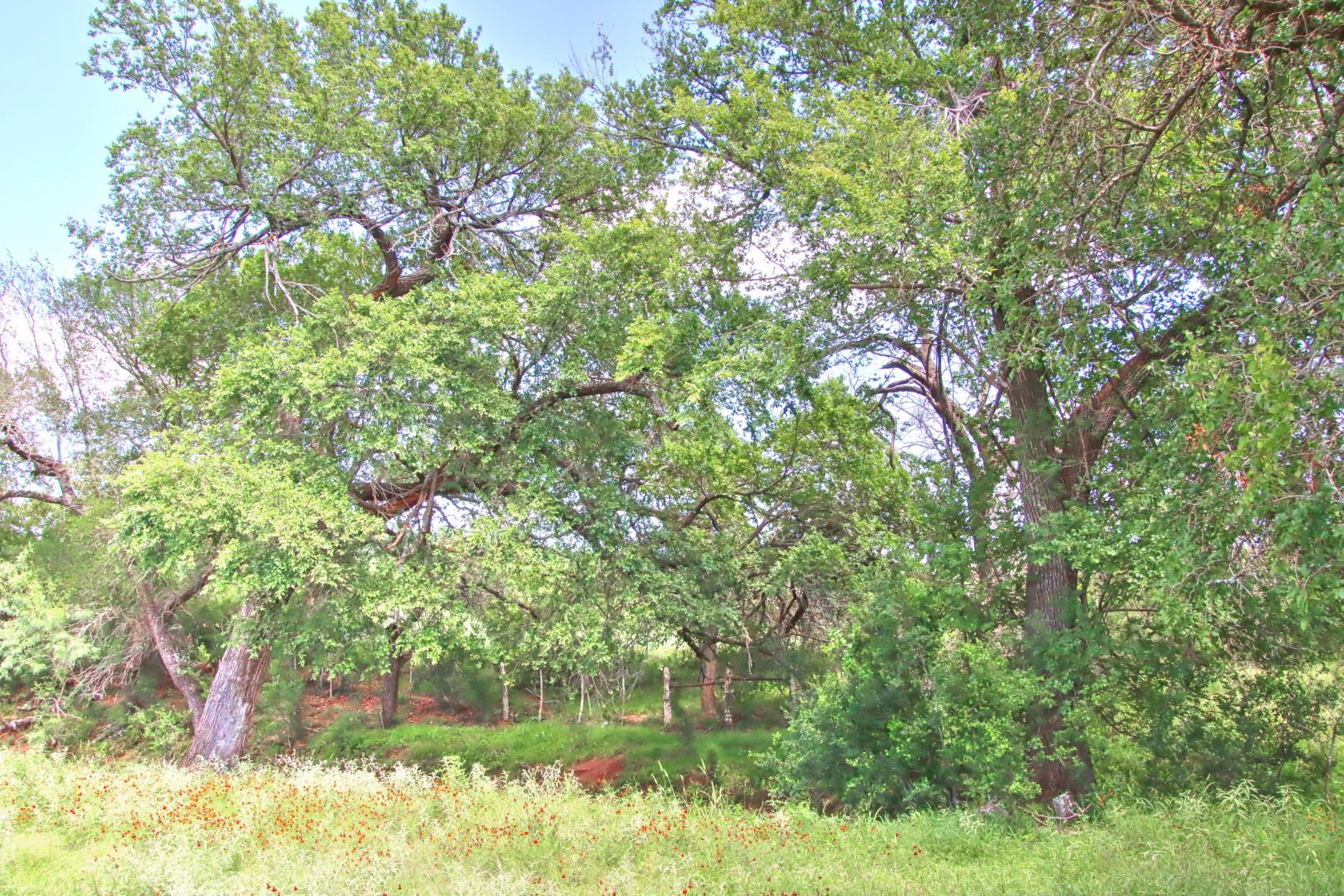 Tbd Cr 110 Road Burnet TX 78611