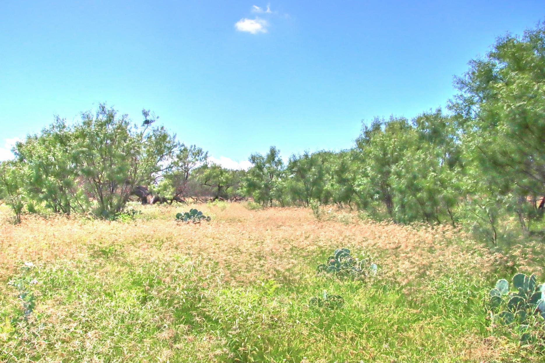 Tbd Cr 110 Road Burnet TX 78611