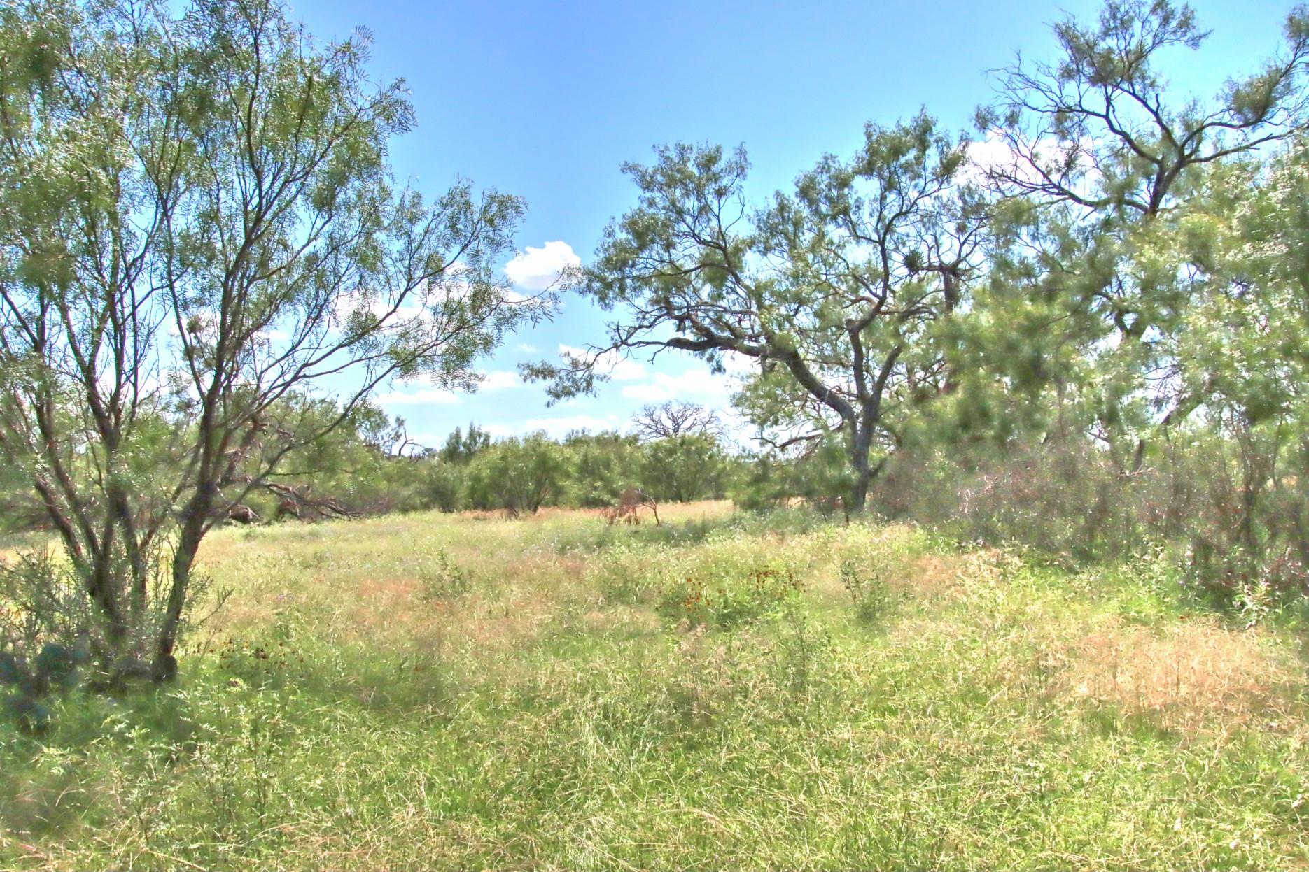 Tbd Cr 110 Road Burnet TX 78611