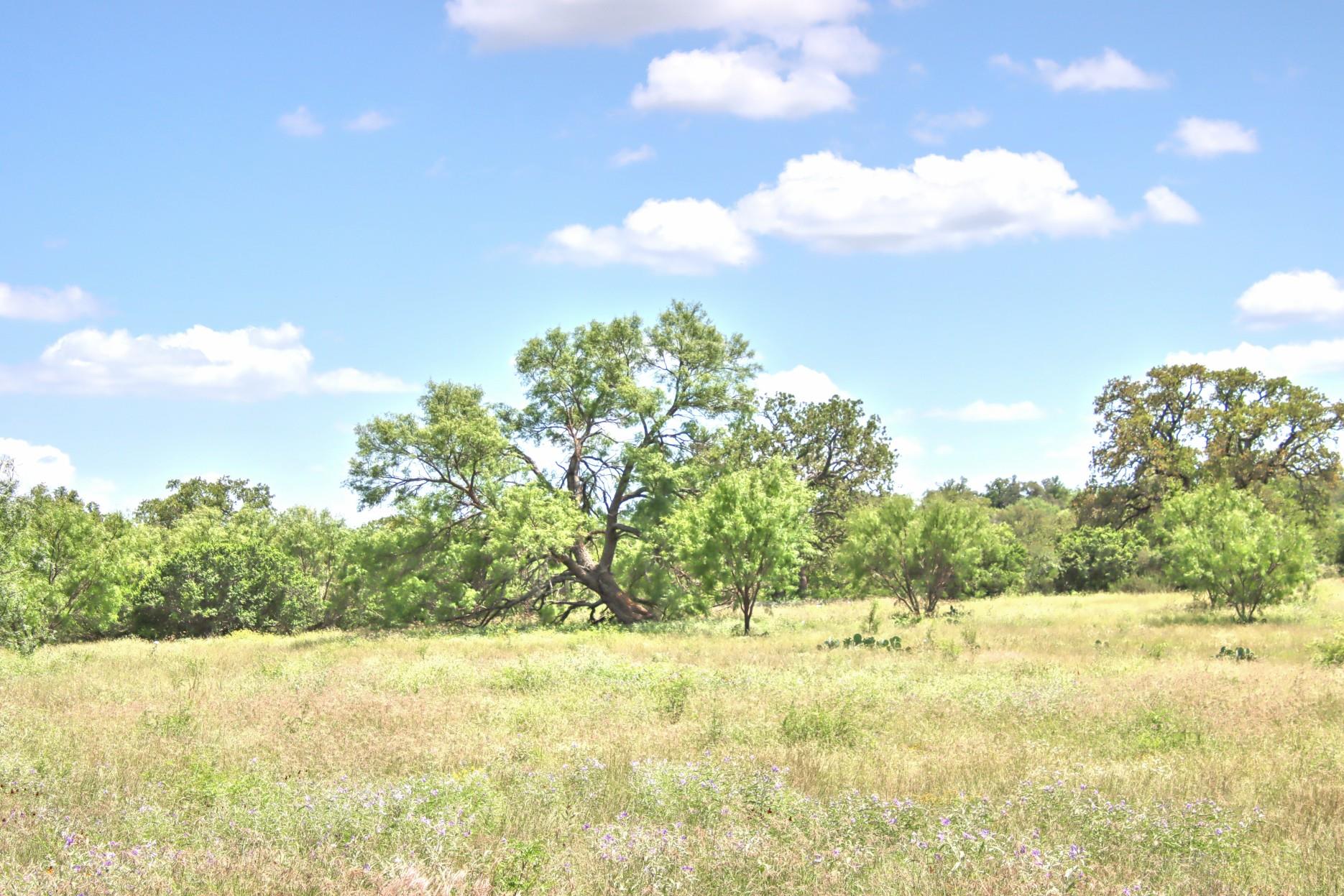Tbd Cr 110 Road Burnet TX 78611