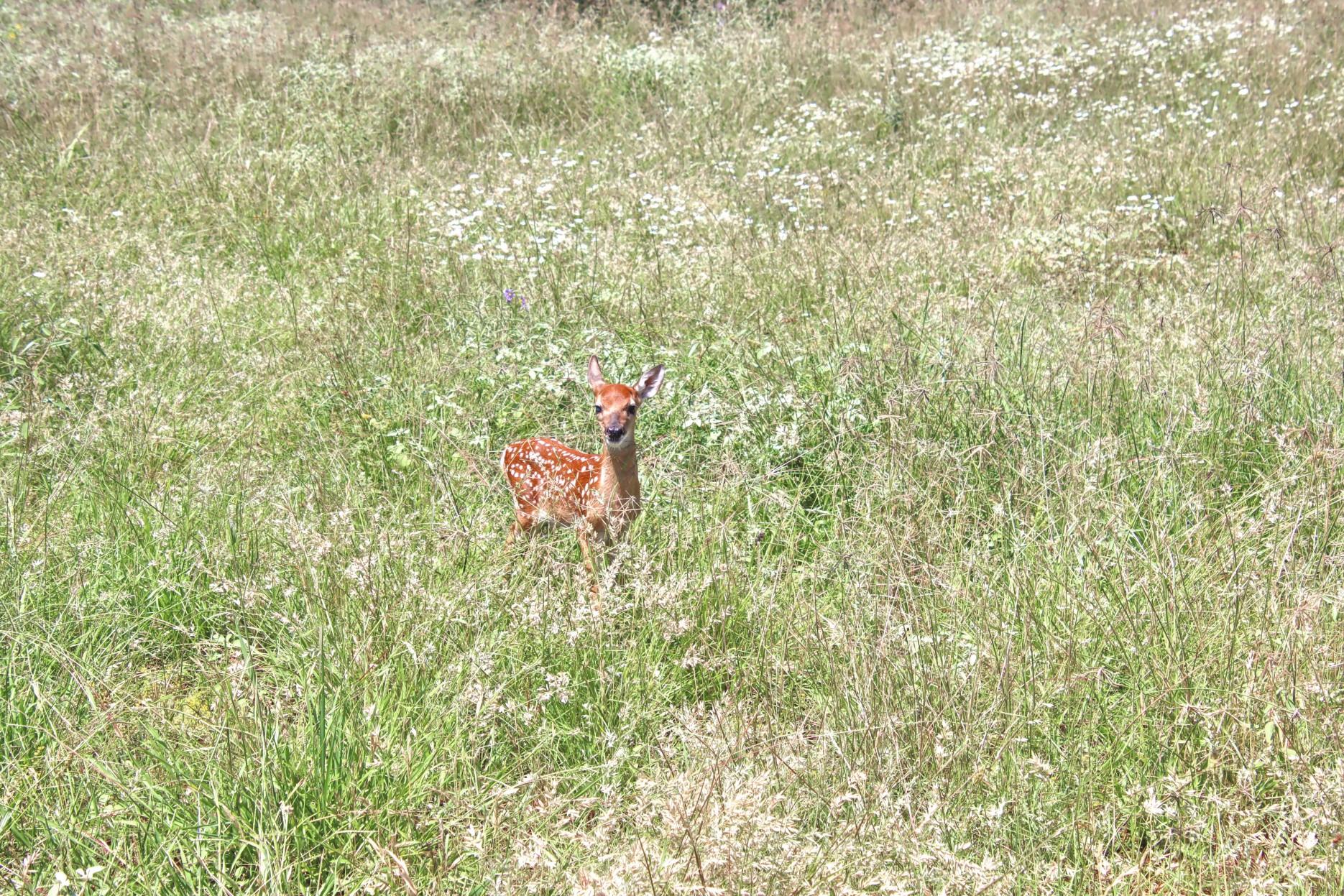 Tbd Cr 110 Road Burnet TX 78611