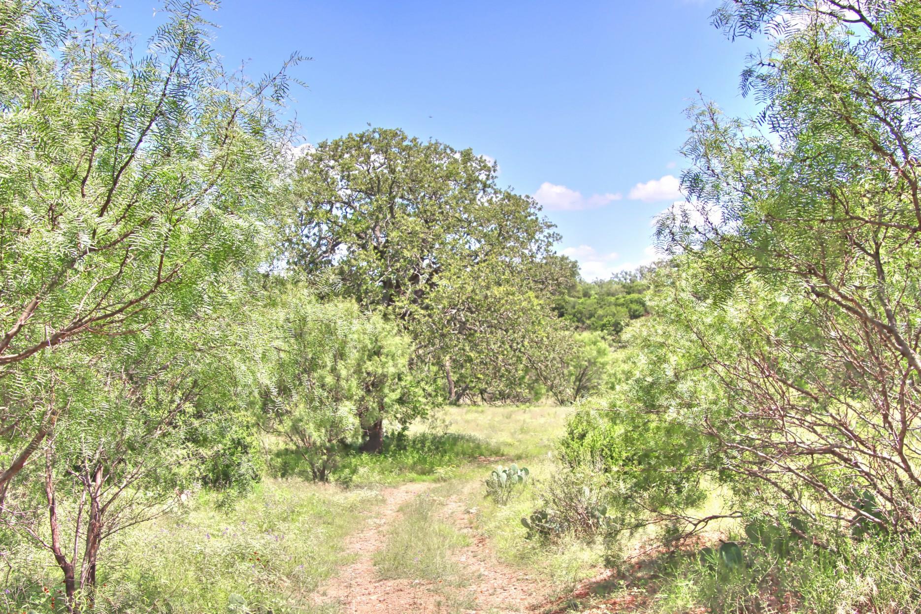 Tbd Cr 110 Road Burnet TX 78611