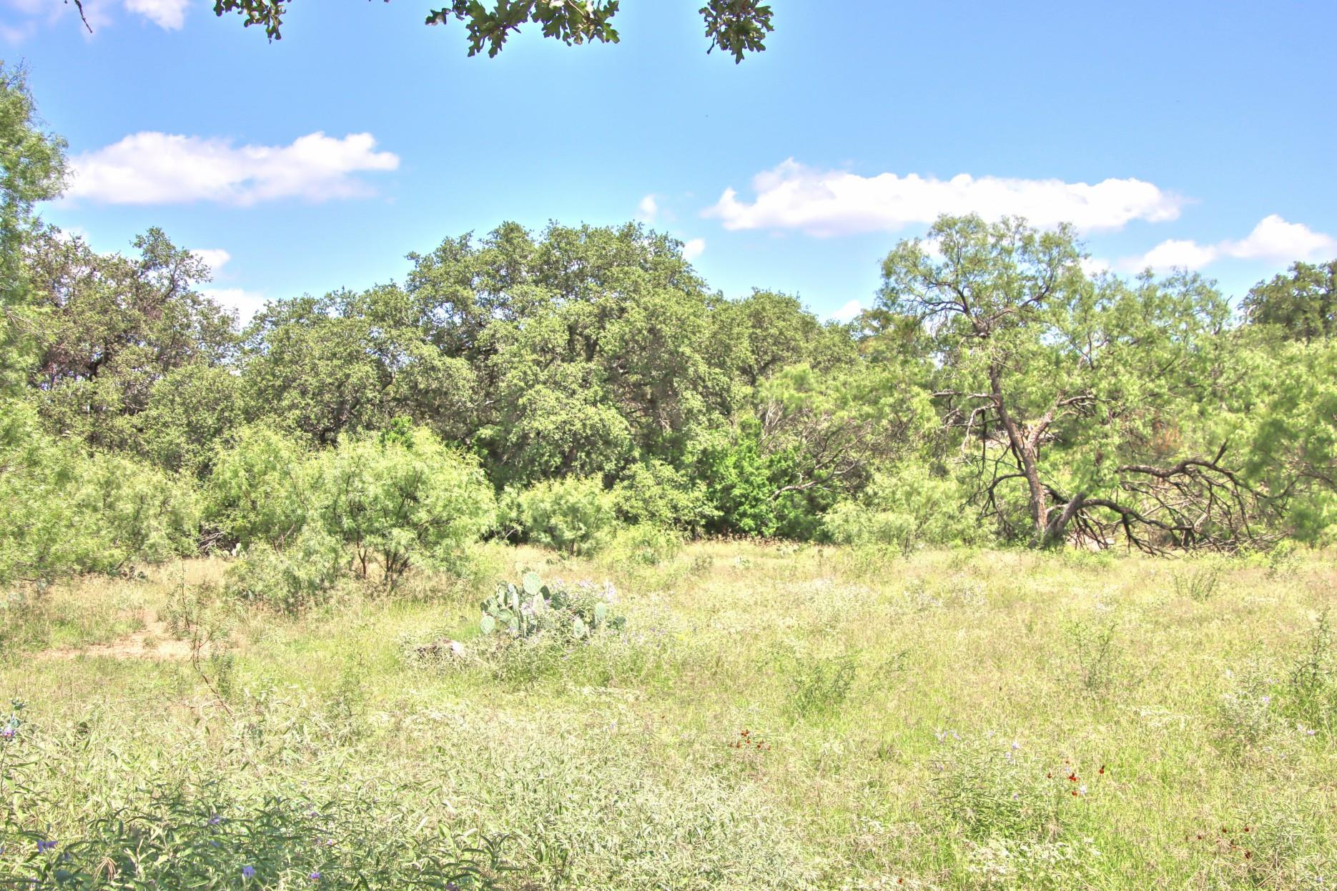 Tbd Cr 110 Road Burnet TX 78611