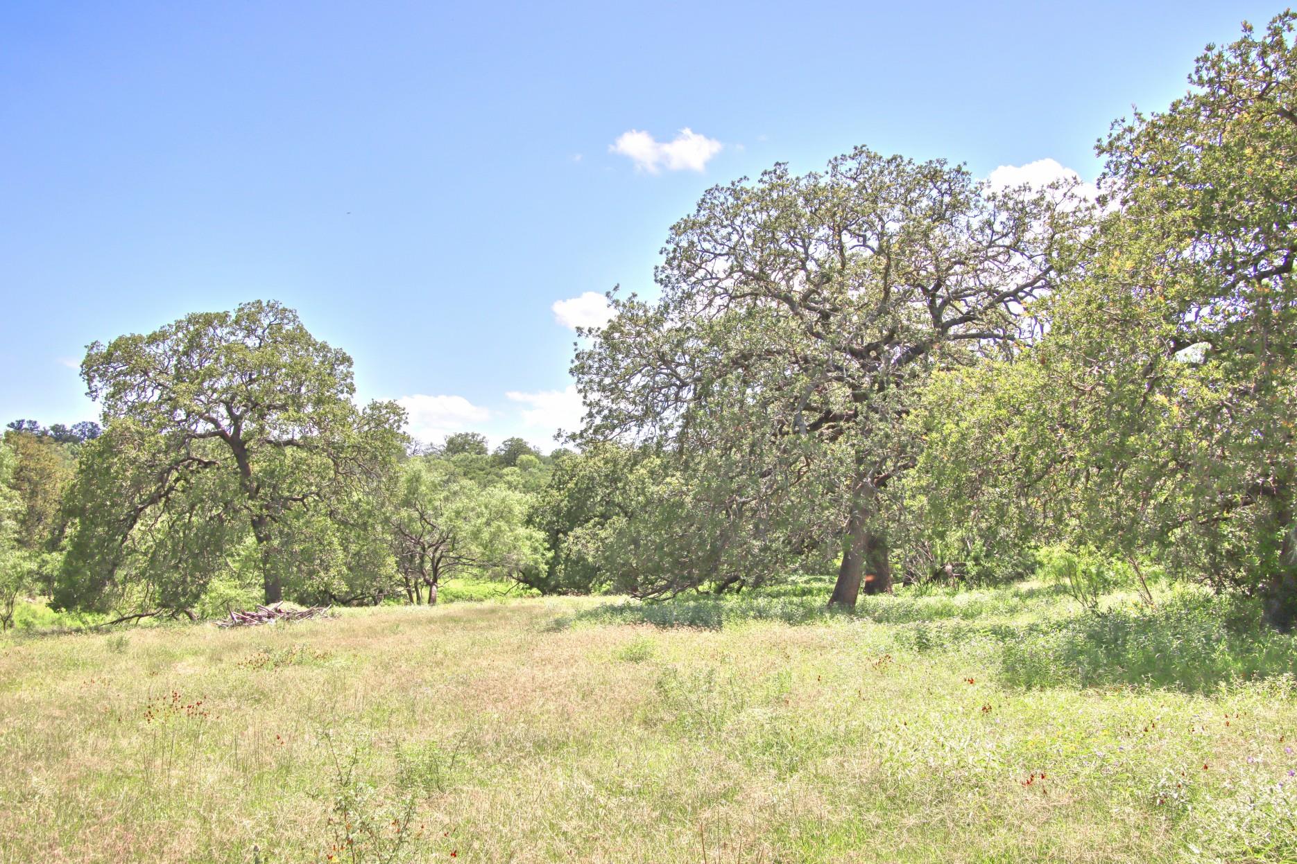 Tbd Cr 110 Road Burnet TX 78611