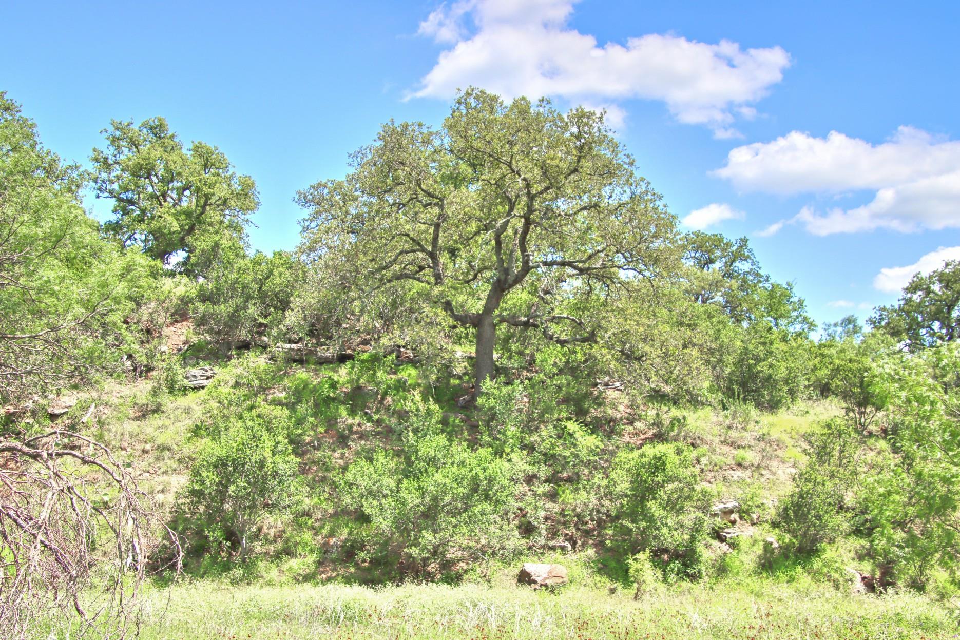 Tbd Cr 110 Road Burnet TX 78611