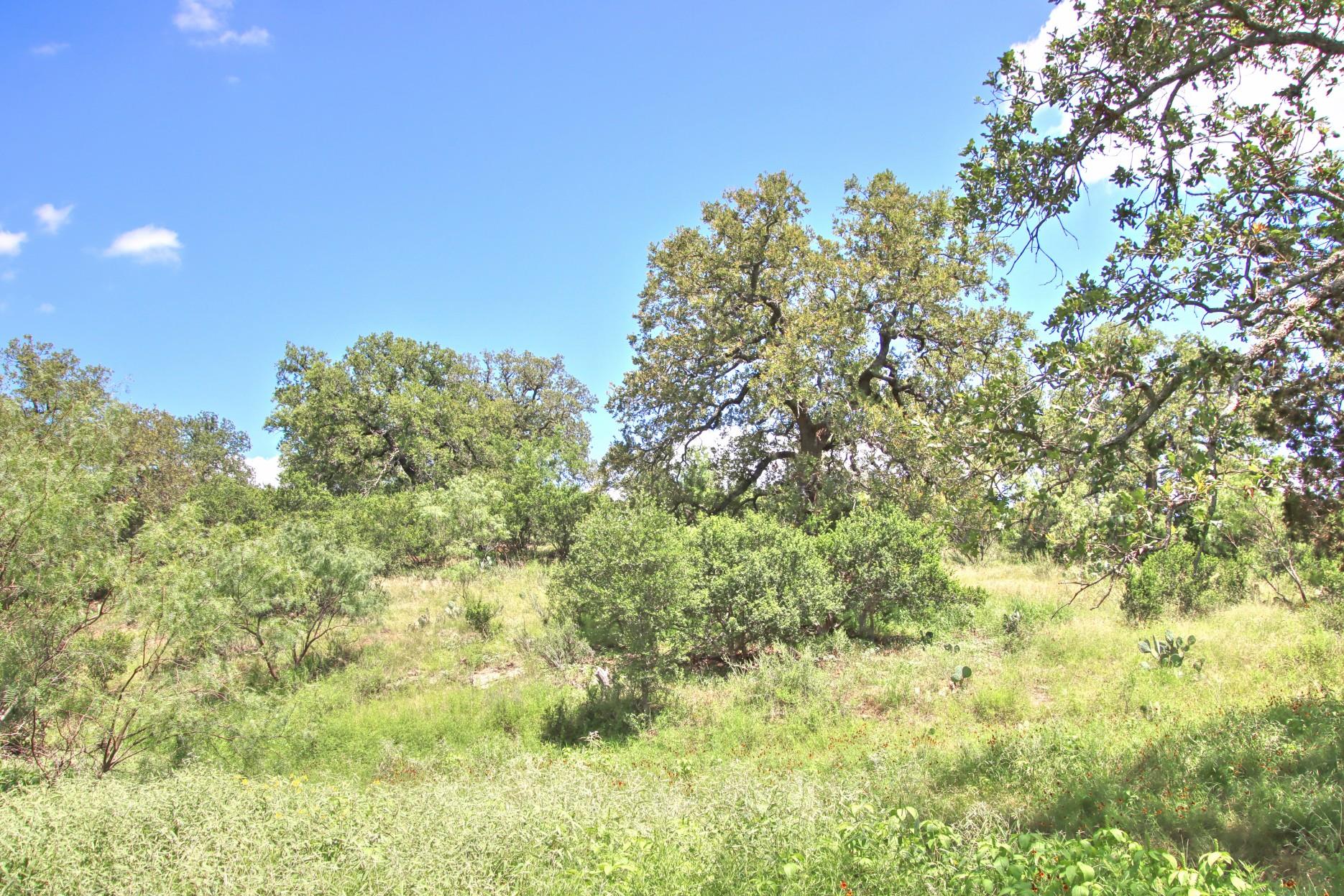 Tbd Cr 110 Road Burnet TX 78611