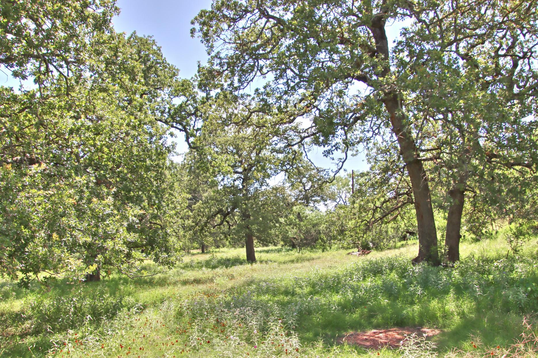 Tbd Cr 110 Road Burnet TX 78611