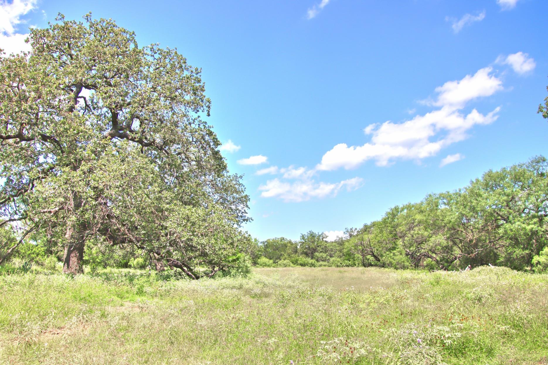 Tbd Cr 110 Road Burnet TX 78611