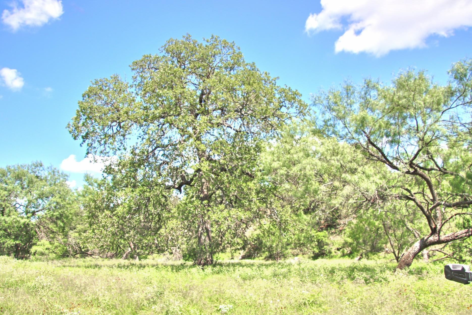 Tbd Cr 110 Road Burnet TX 78611