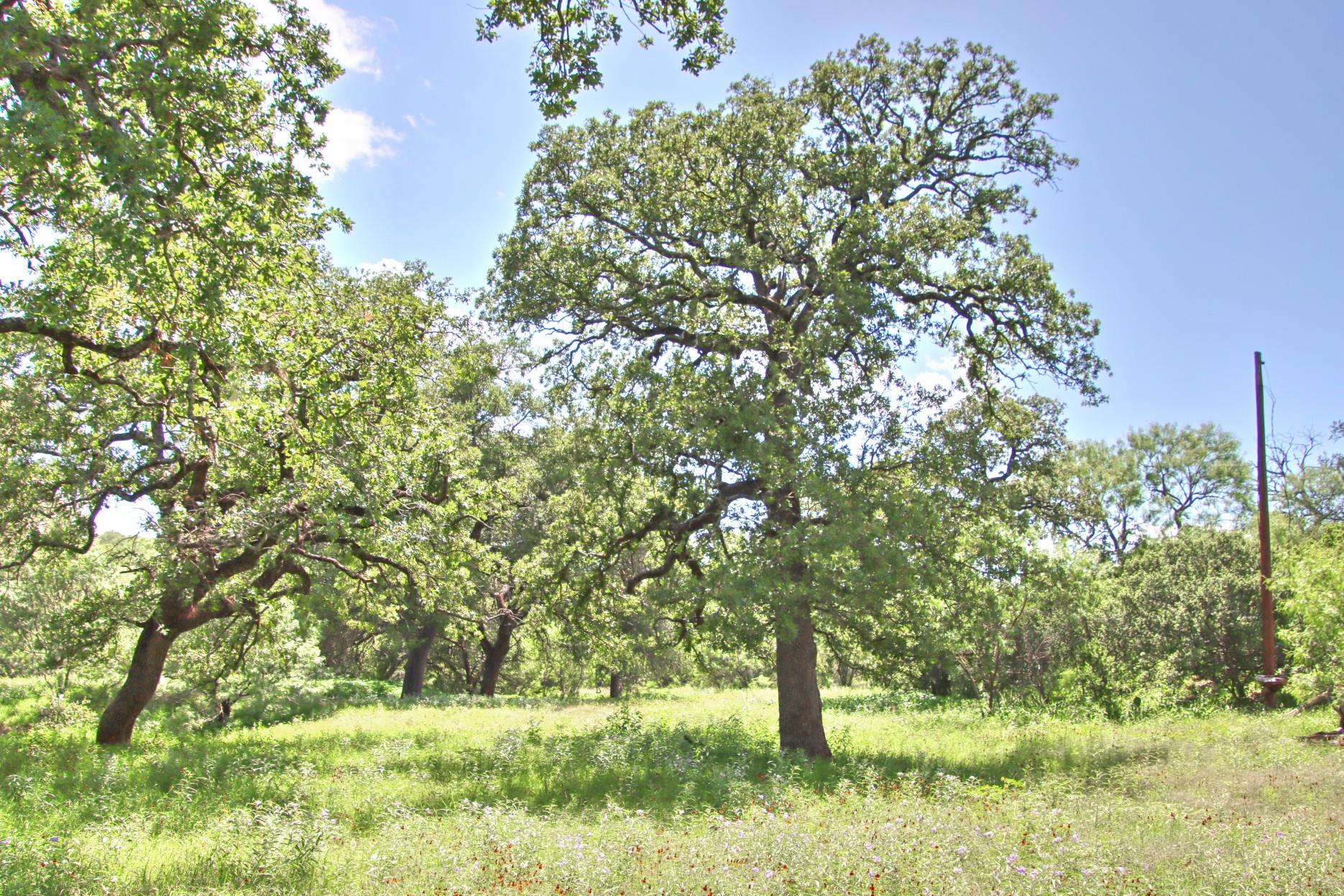 Tbd Cr 110 Road Burnet TX 78611
