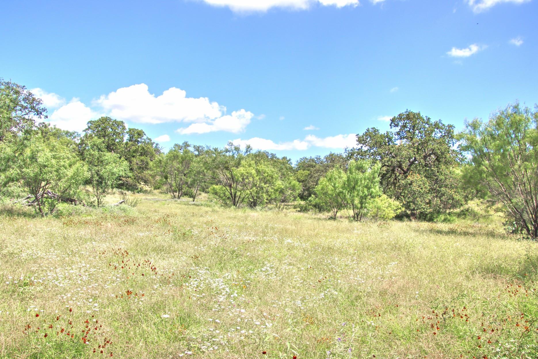 Tbd Cr 110 Road Burnet TX 78611