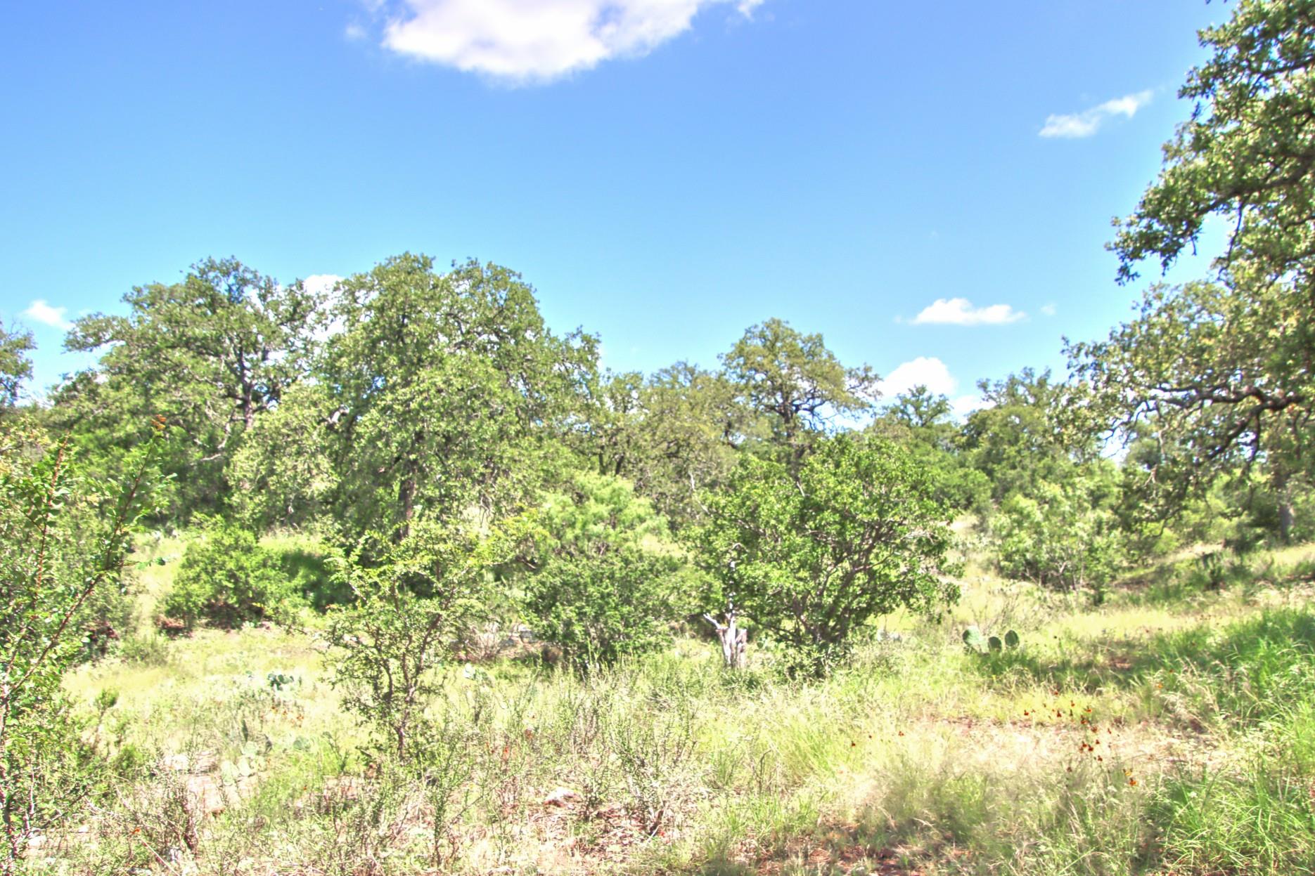 Tbd Cr 110 Road Burnet TX 78611