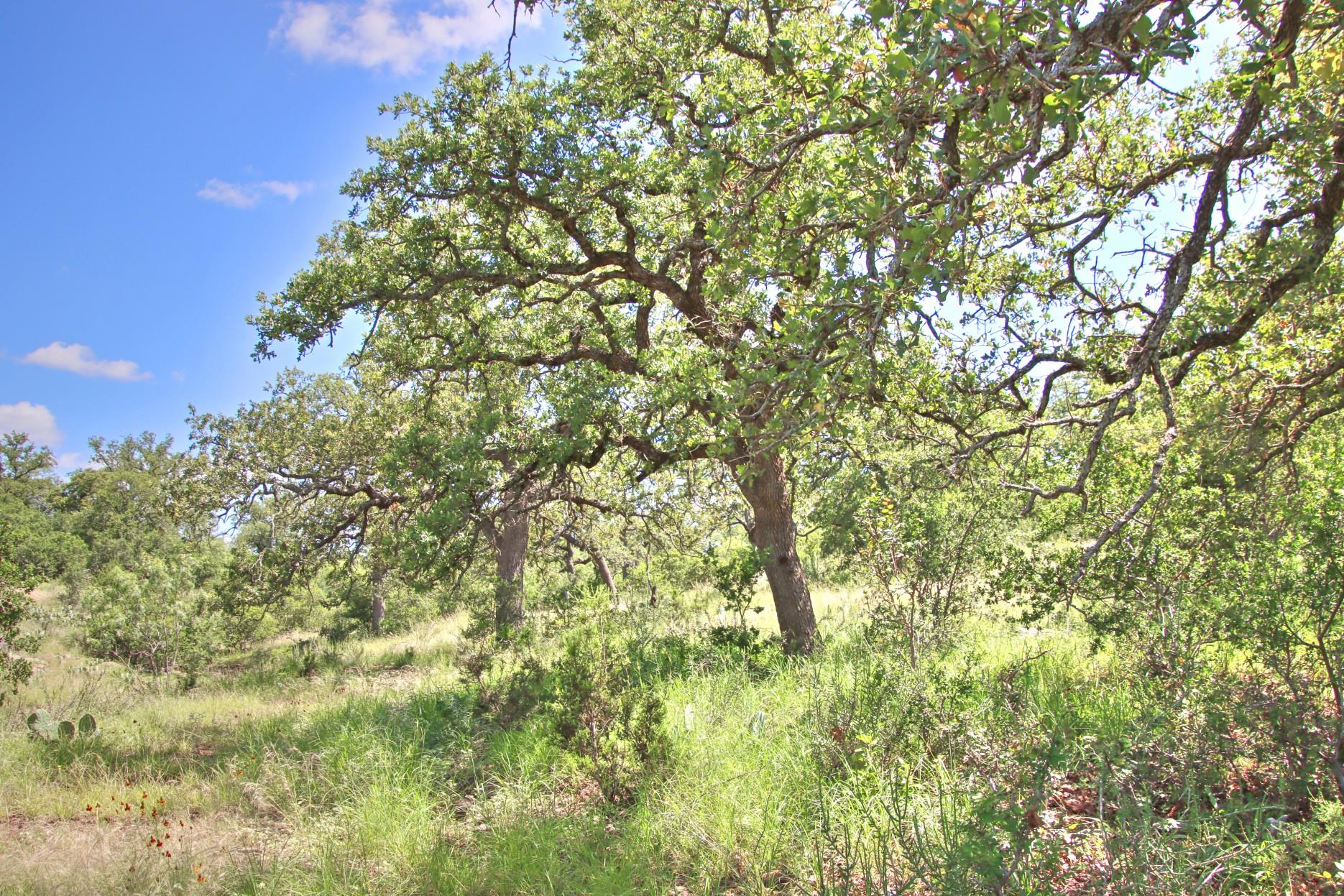 Tbd Cr 110 Road Burnet TX 78611