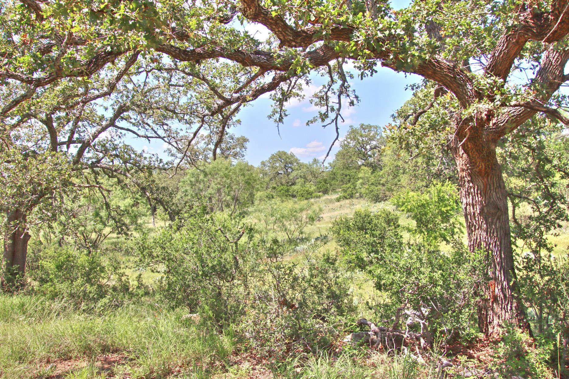 Tbd Cr 110 Road Burnet TX 78611