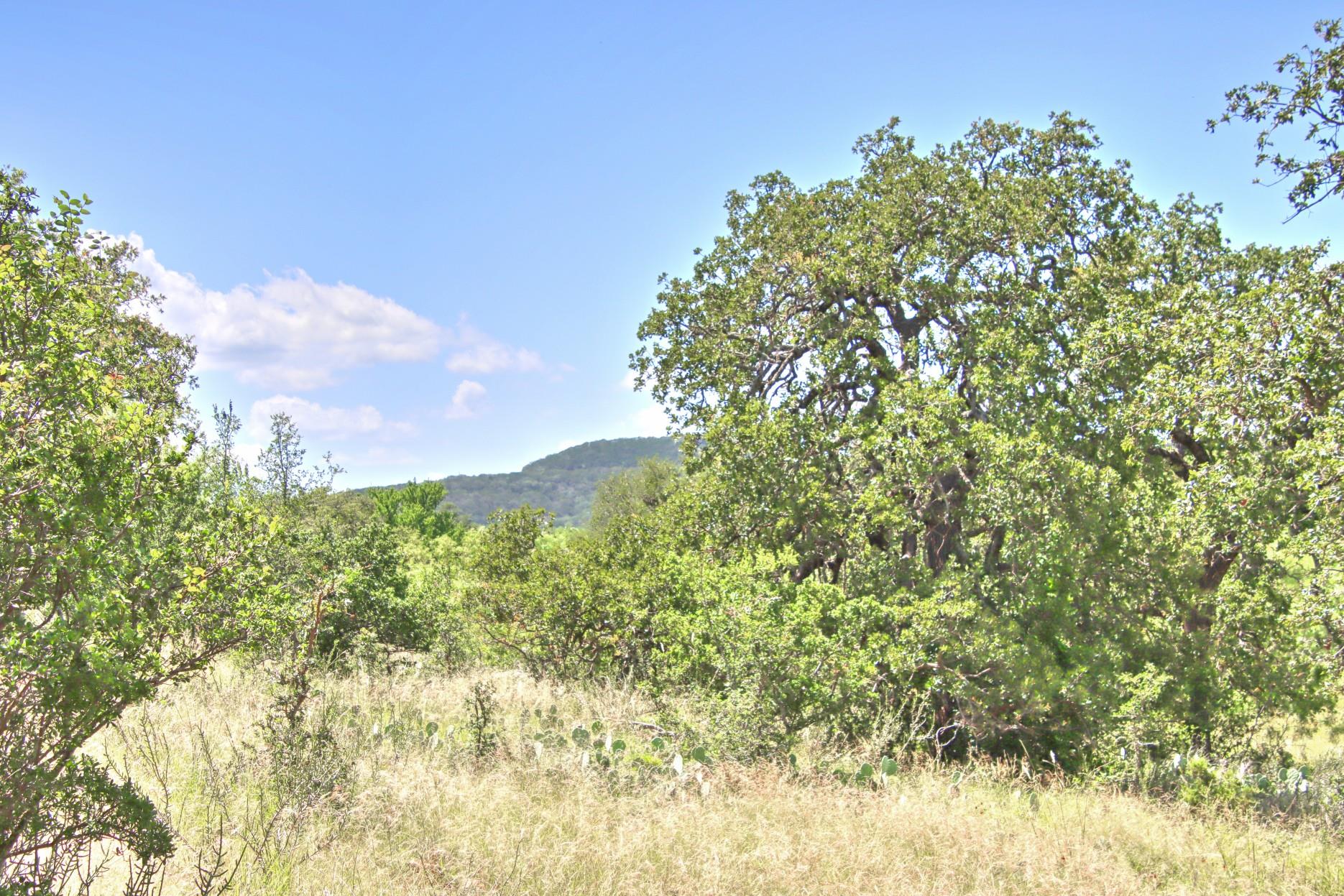 Tbd Cr 110 Road Burnet TX 78611
