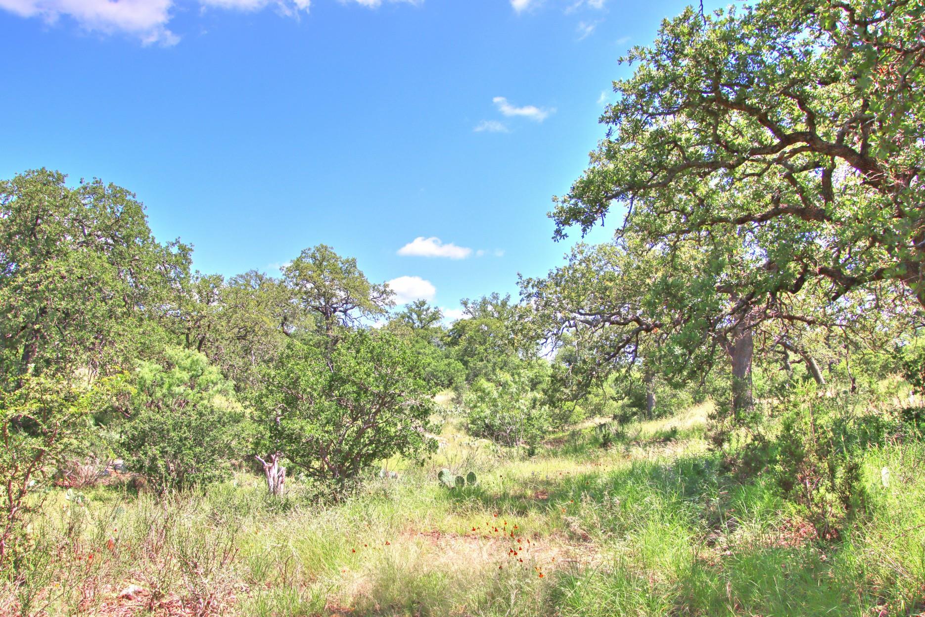 Tbd Cr 110 Road Burnet TX 78611