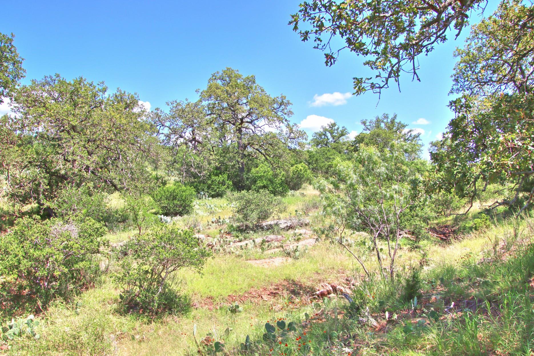 Tbd Cr 110 Road Burnet TX 78611