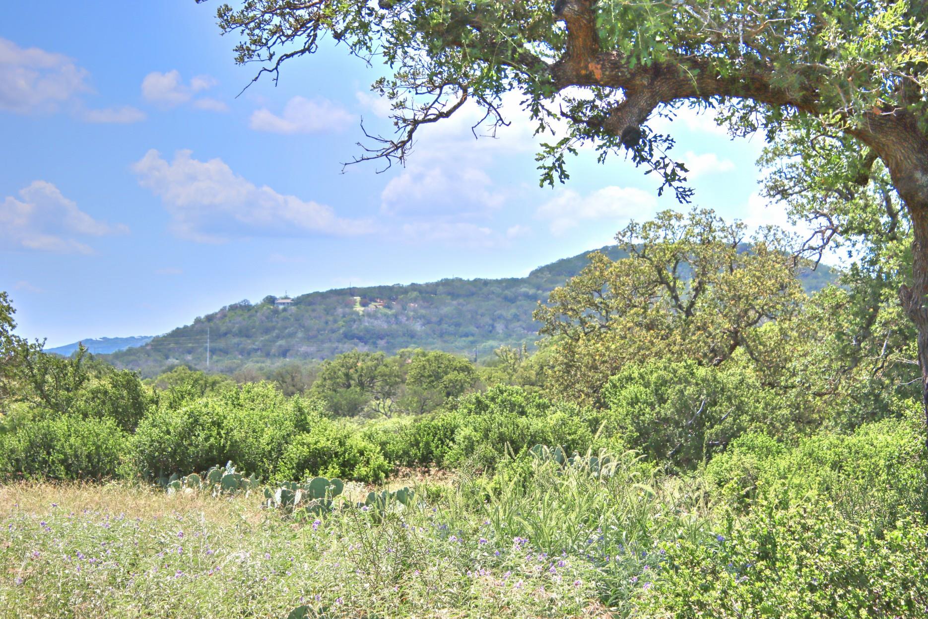 Tbd Cr 110 Road Burnet TX 78611