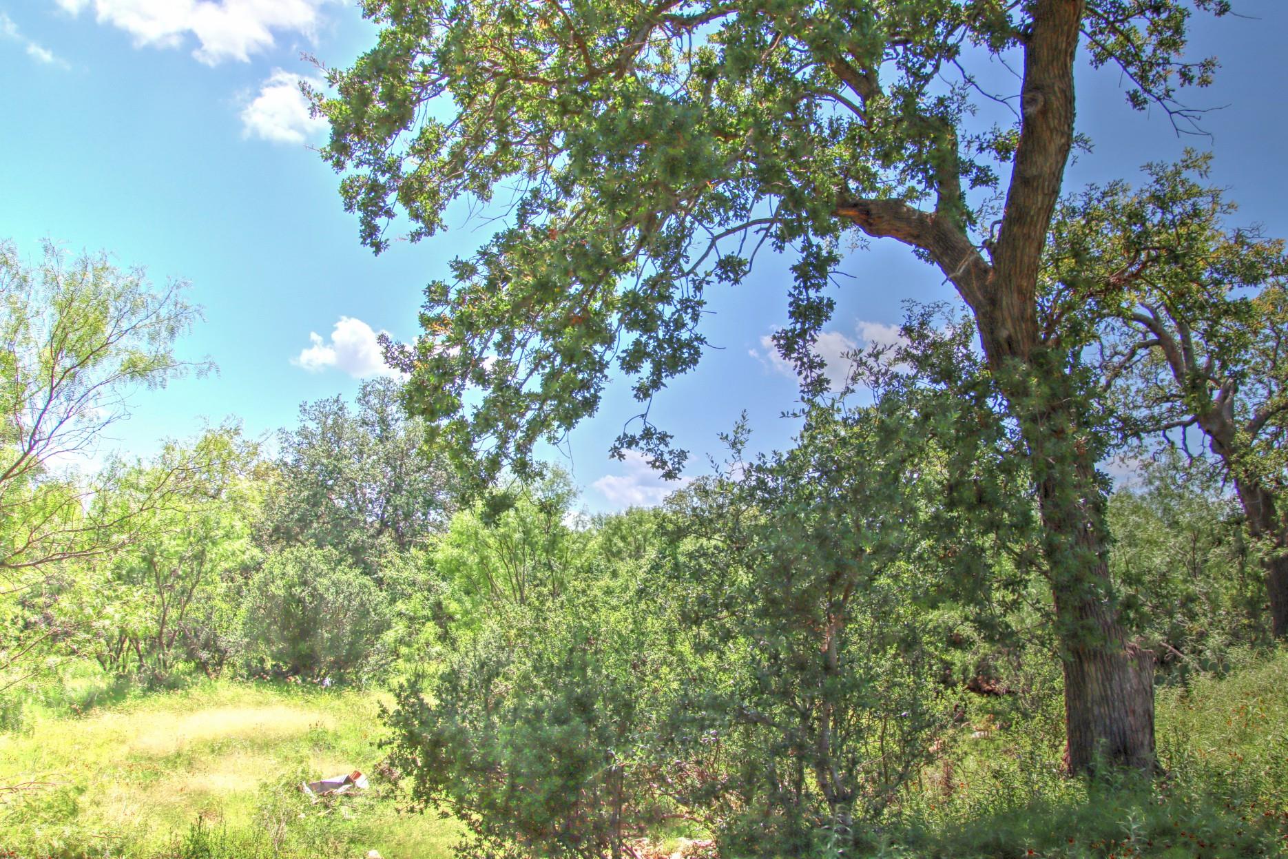 Tbd Cr 110 Road Burnet TX 78611