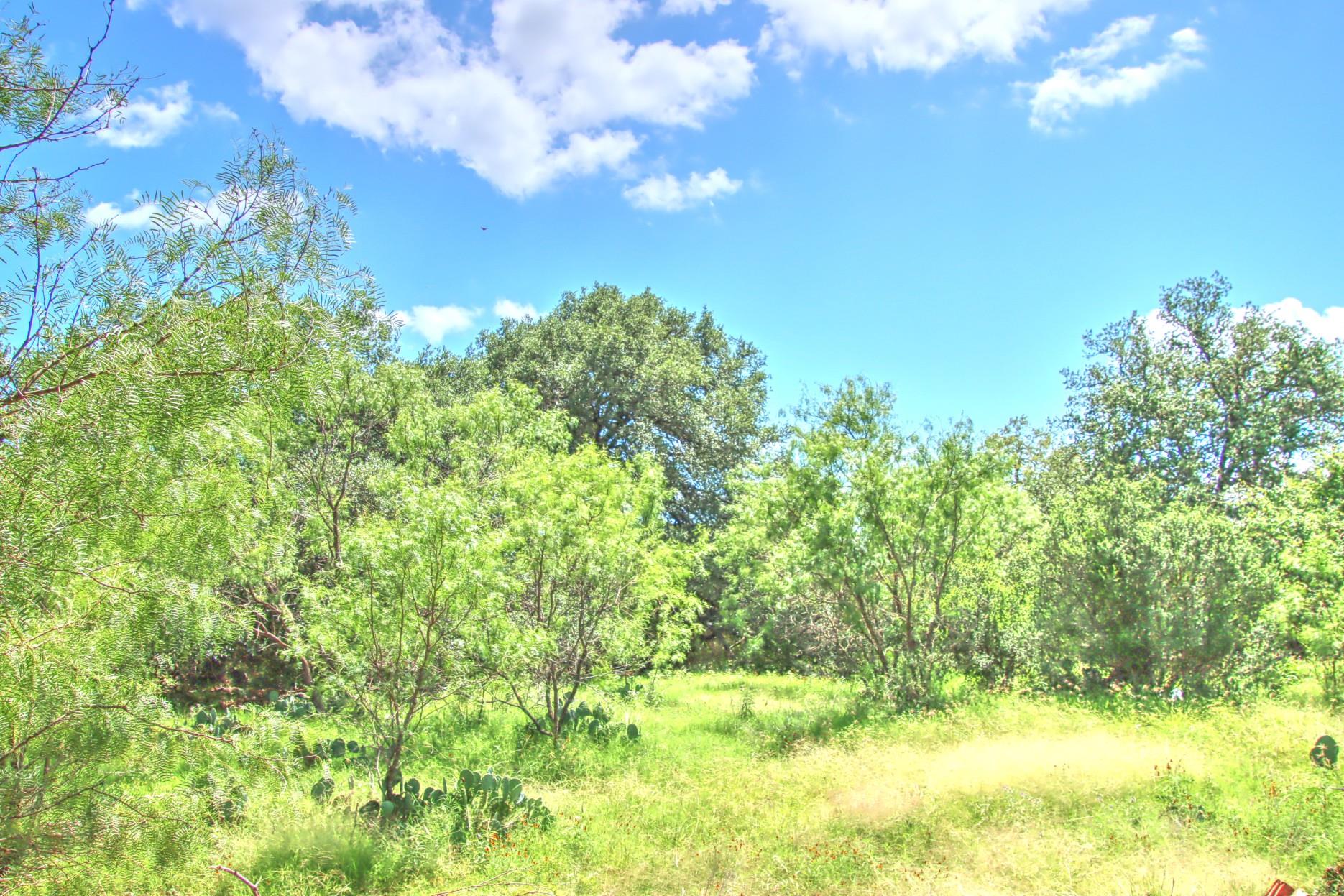Tbd Cr 110 Road Burnet TX 78611