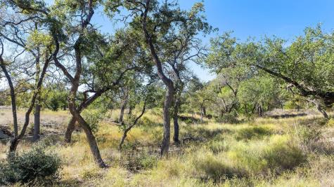 Lot 18 Mesa Ranch Road Dripping Springs TX 78620