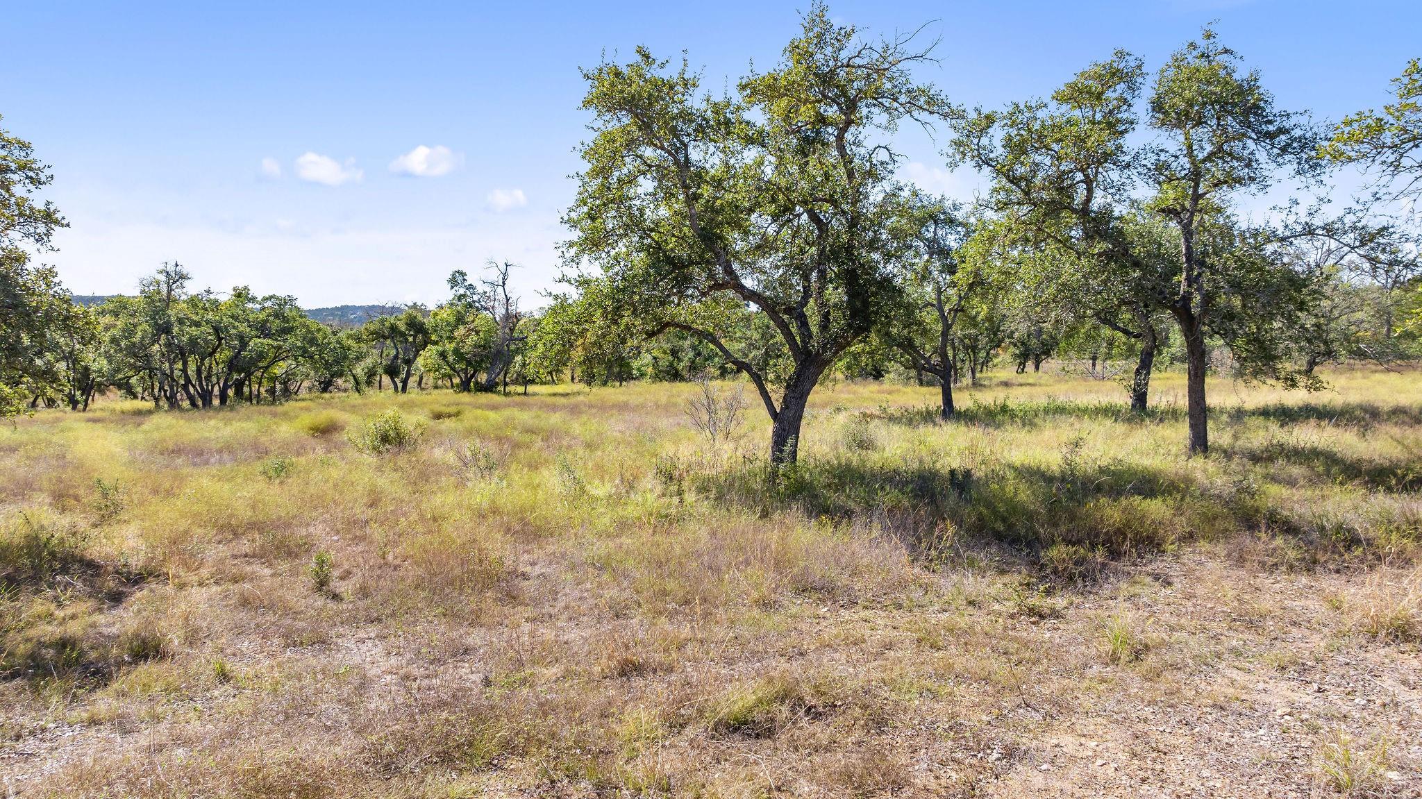 Lot 18 Mesa Ranch Road Dripping Springs TX 78620