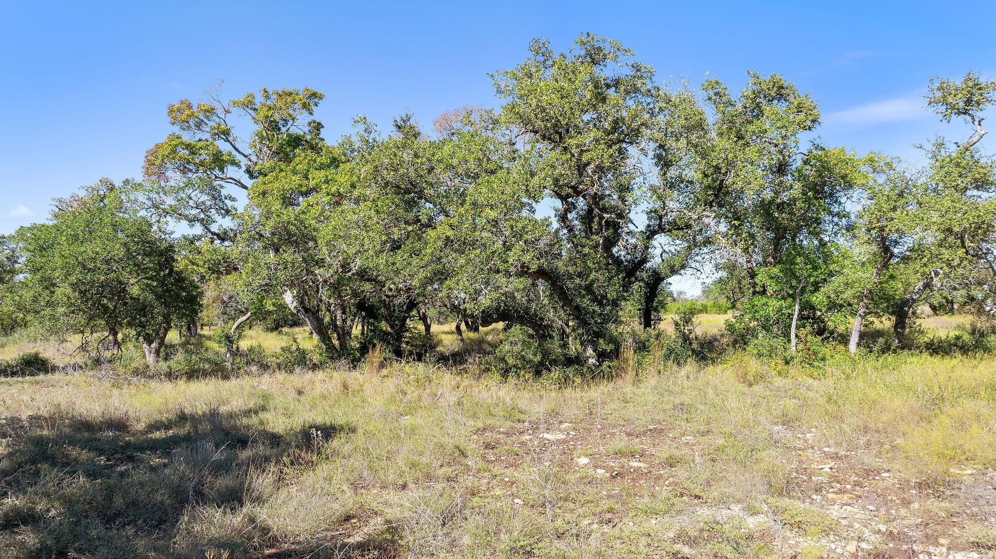 Lot 18 Mesa Ranch Road Dripping Springs TX 78620