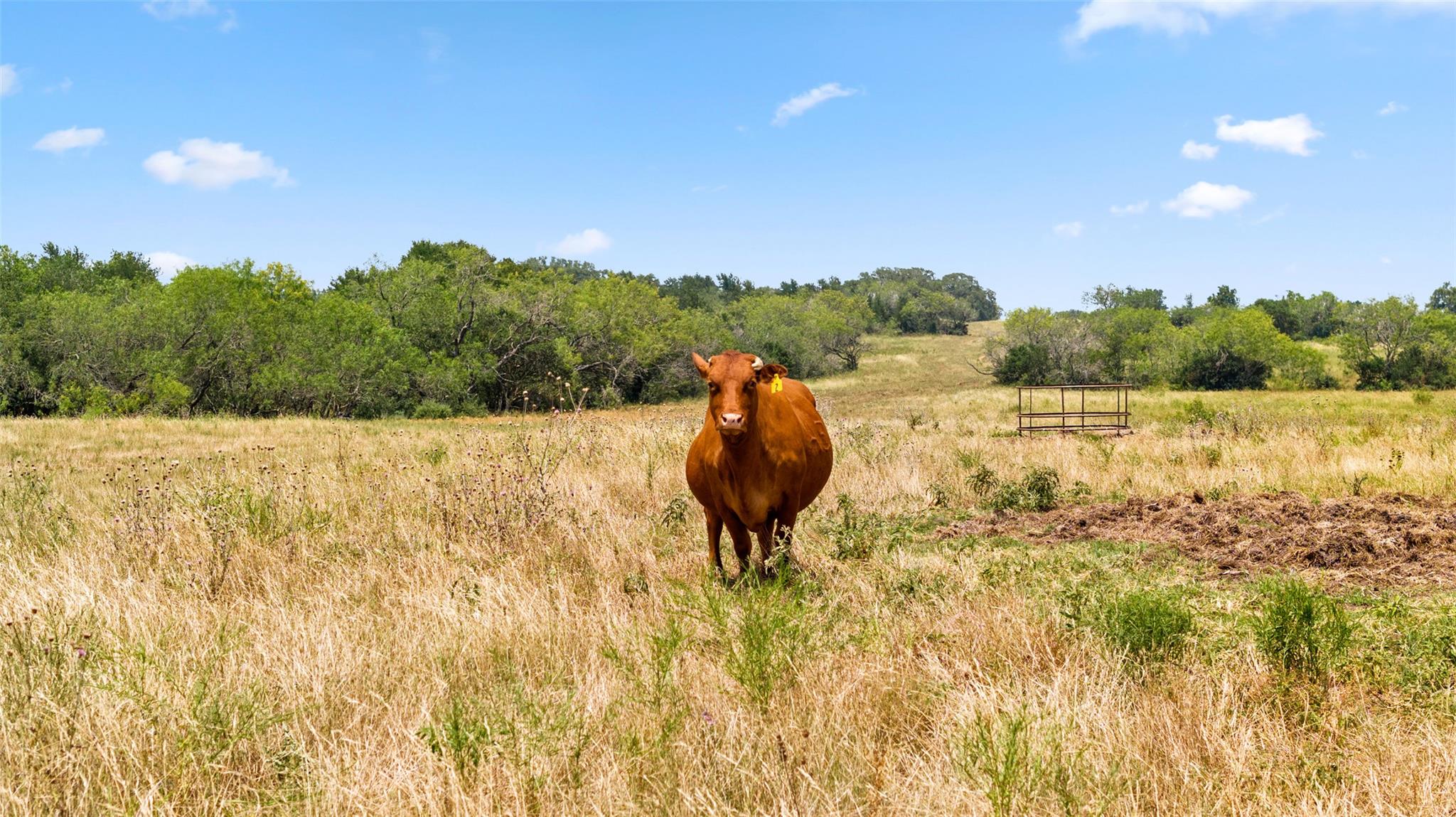 6035 State Park Road Lockhart TX 78644