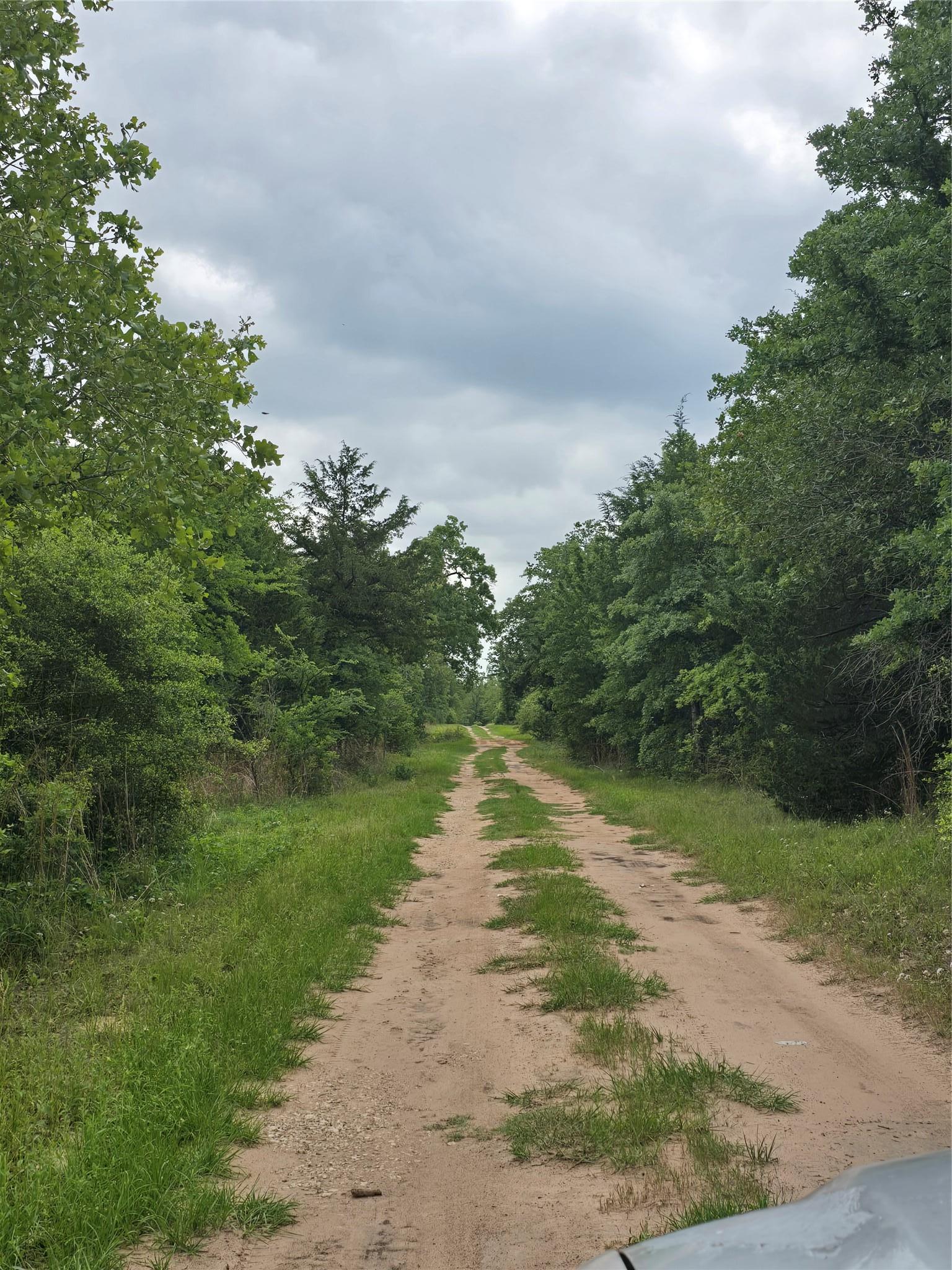 555 Private Road 3428 Milano TX 76558