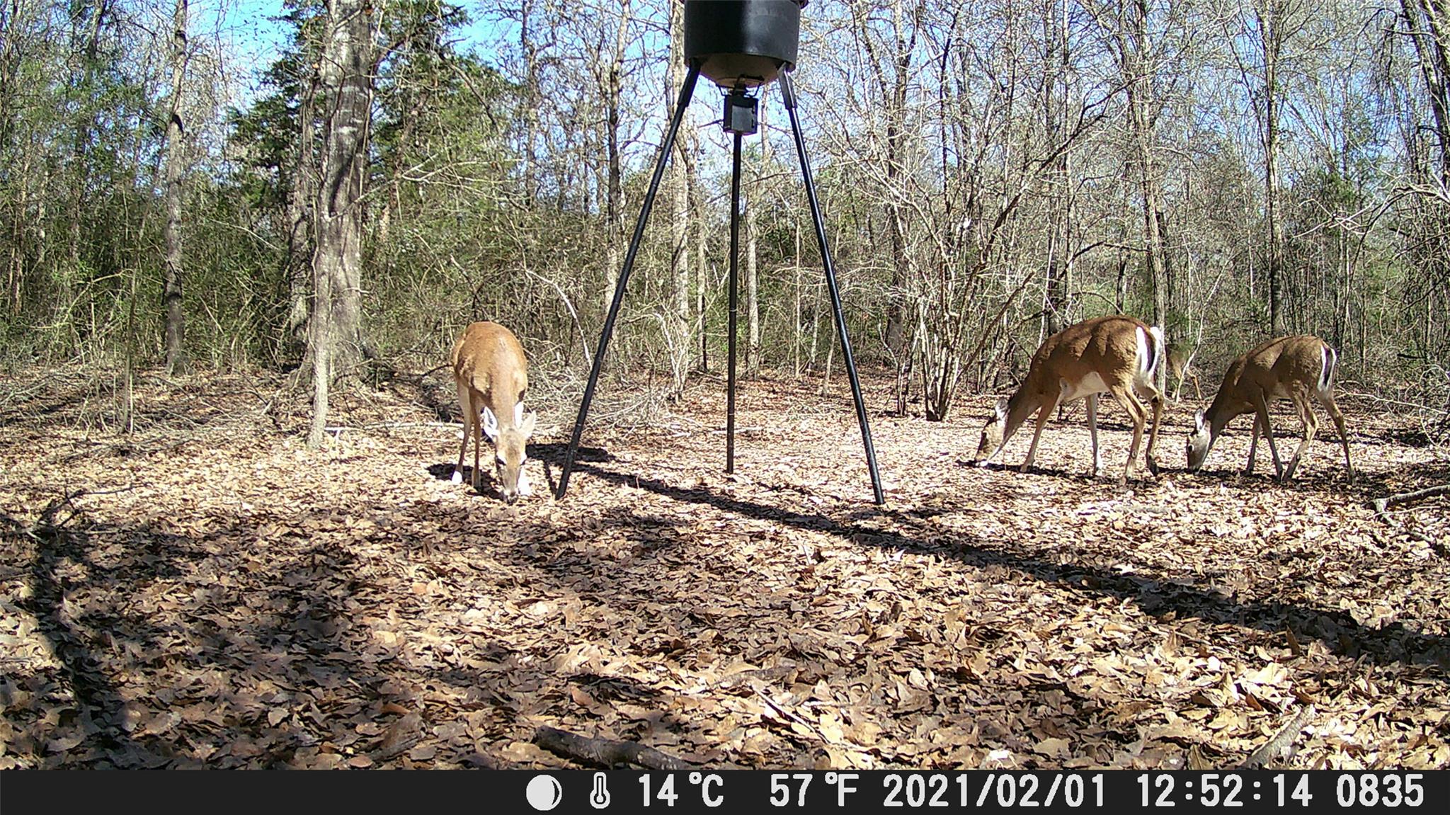555 Private Road 3428 Milano TX 76558