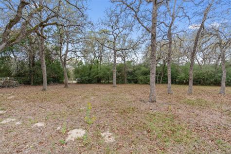 124 Kingwood Drive Elgin TX 78621