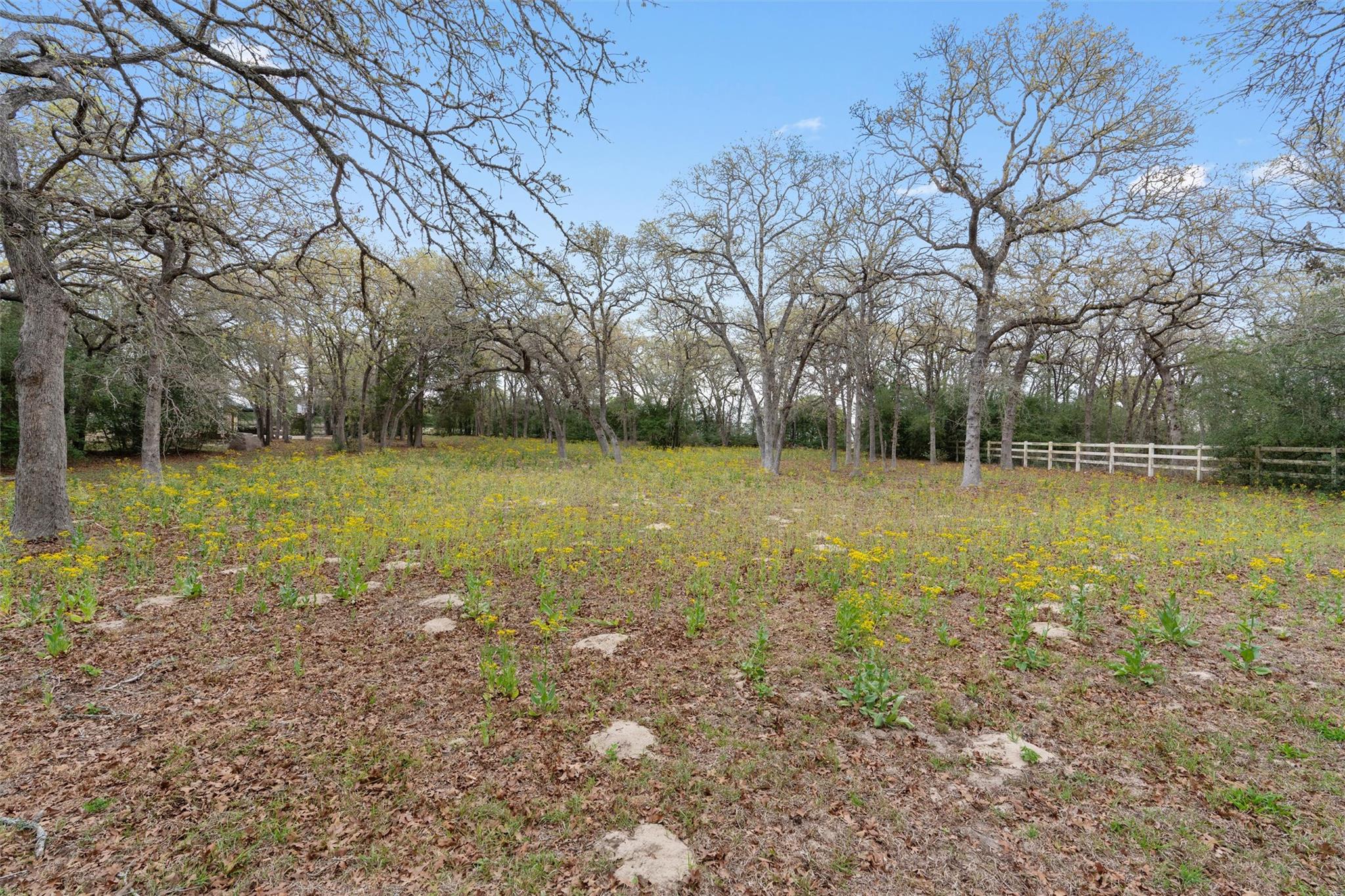 124 Kingwood Drive Elgin TX 78621