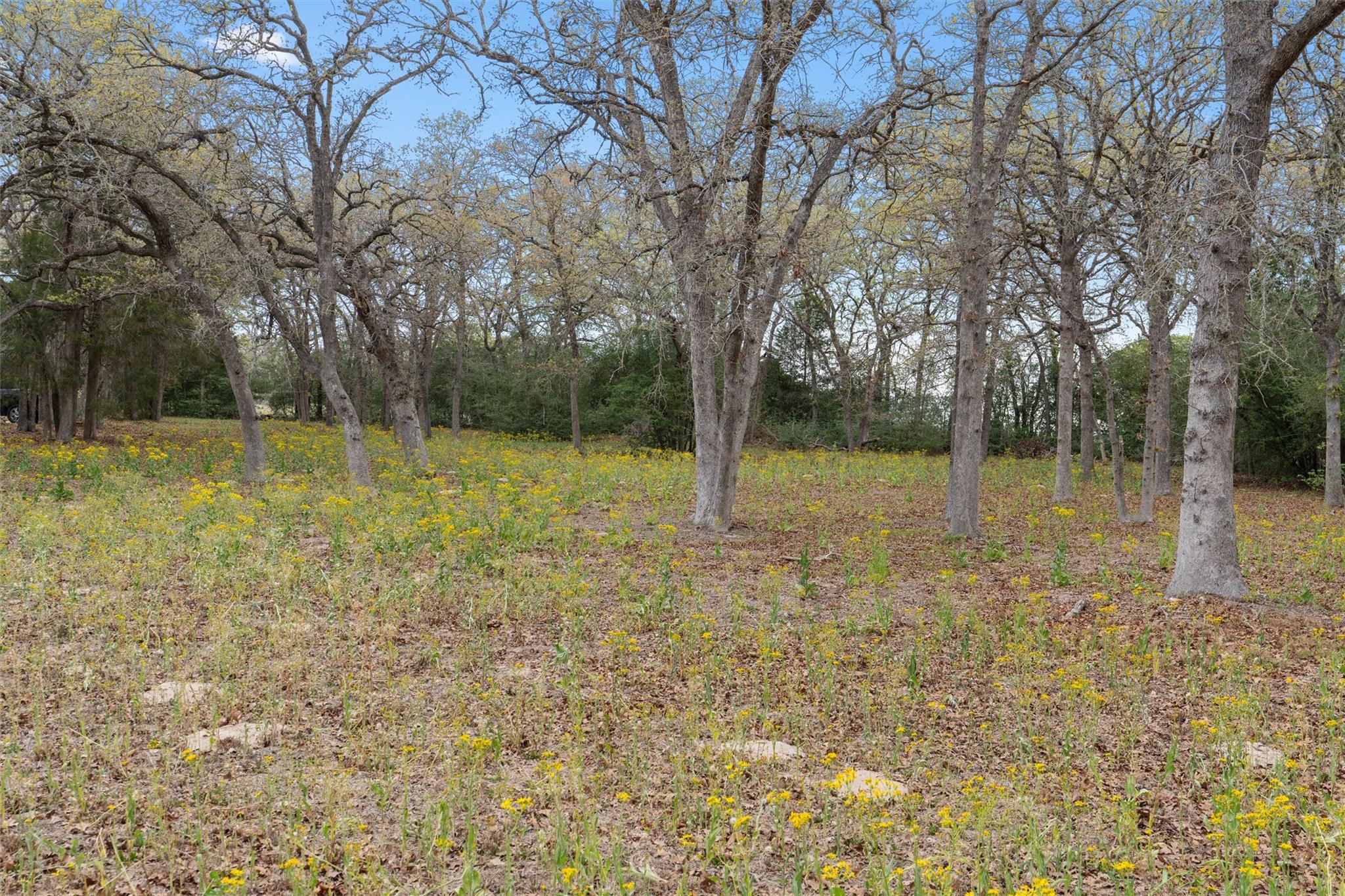 124 Kingwood Drive Elgin TX 78621