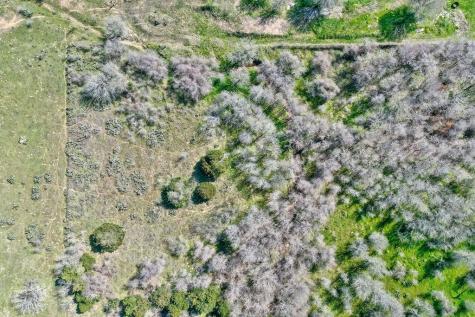 Tbd Shiloh Road Bastrop TX 78602