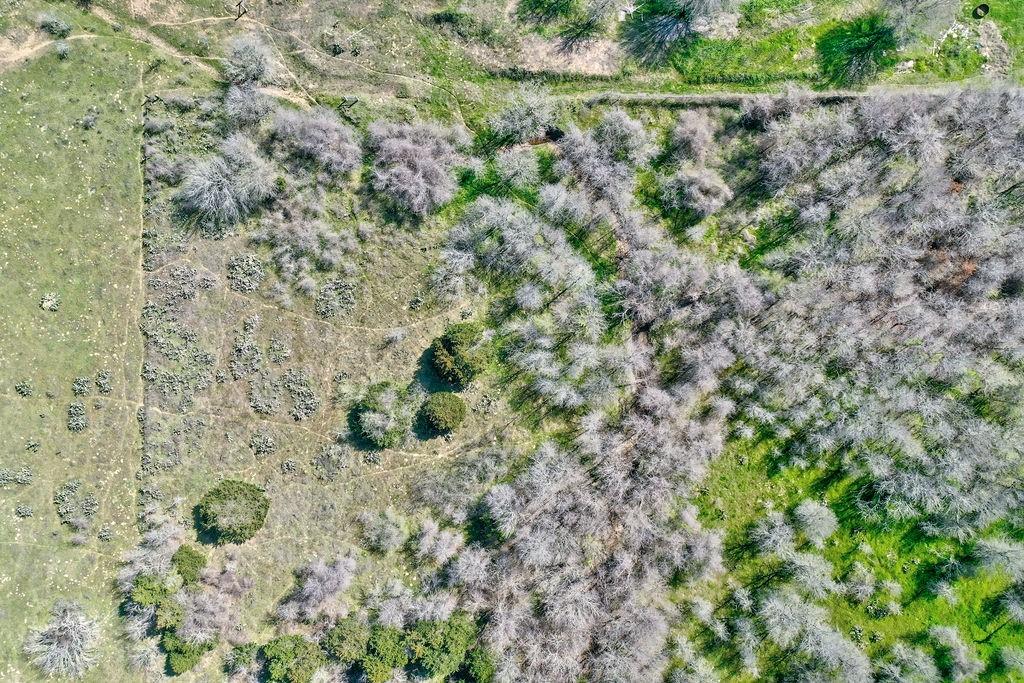 Tbd Shiloh Road Bastrop TX 78602