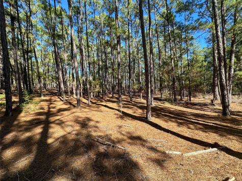 Lot 12 Hickory Ridge Drive Bastrop TX 78602