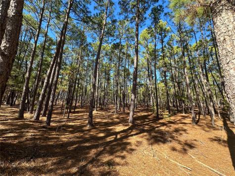 Lot 12 Hickory Ridge Drive Bastrop TX 78602