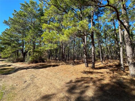 Lot 12 Hickory Ridge Drive Bastrop TX 78602