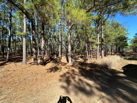 Lot 12 Hickory Ridge Drive Bastrop TX 78602