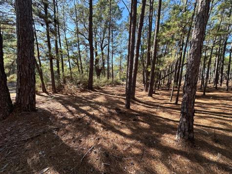 Lot 12 Hickory Ridge Drive Bastrop TX 78602