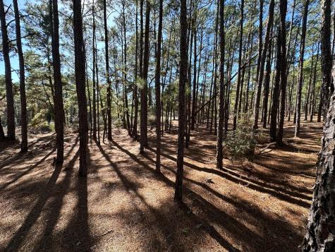 Lot 12 Hickory Ridge Drive Bastrop TX 78602