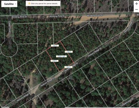 Lot 12 Hickory Ridge Drive Bastrop TX 78602