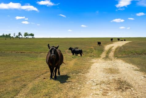 0000 Solana Ranch Road Salado TX 76571