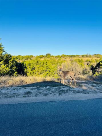 22051 Long Shot Horseshoe Bay TX 78657