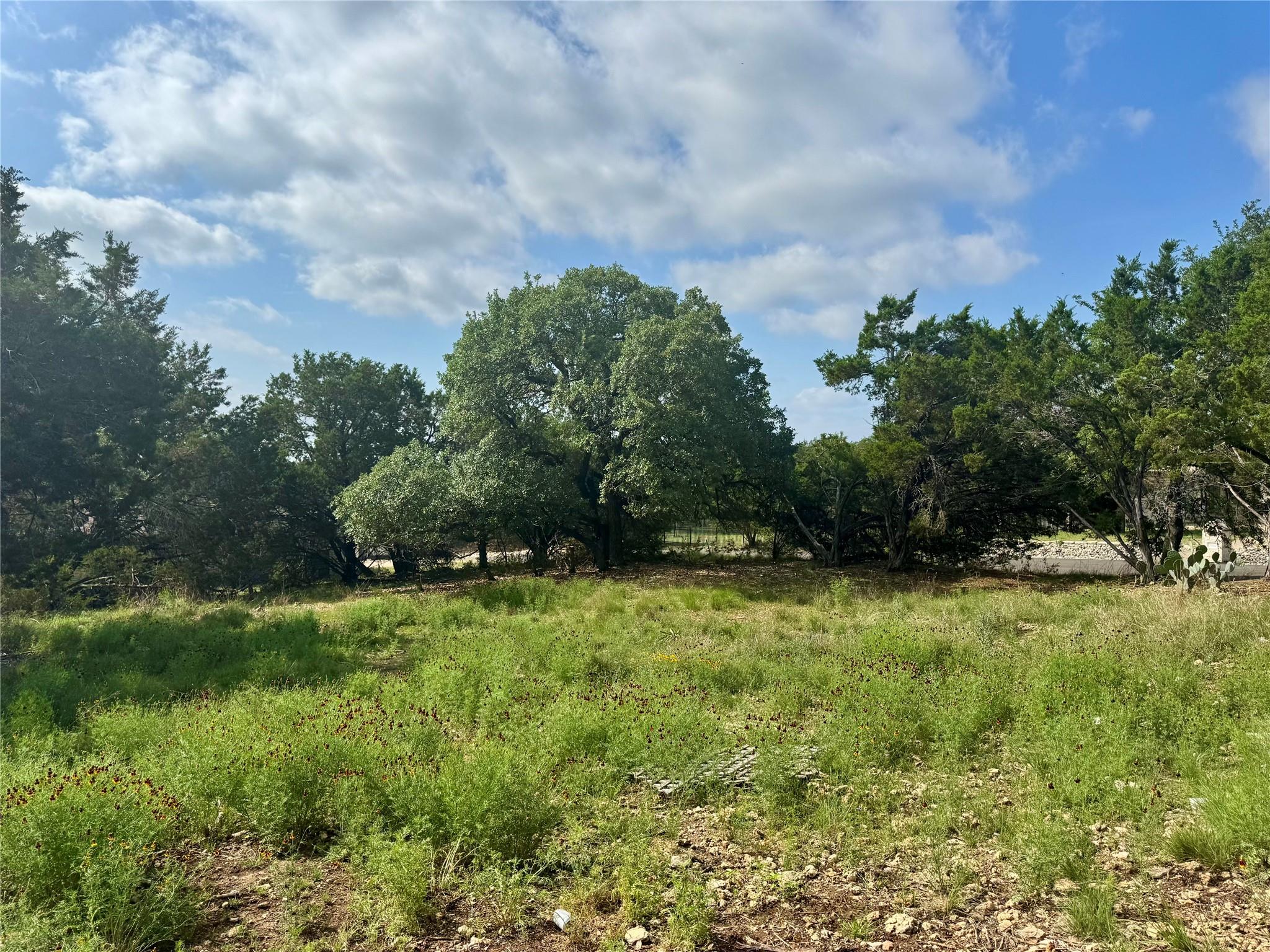 21021 Nimitz Avenue Lago Vista TX 78645