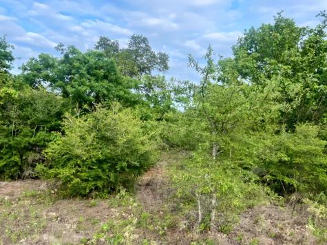 000 Ponderosa Loop Paige TX 78602