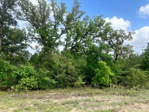 000 Ponderosa Loop Paige TX 78602